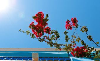 a blue building with red flowers and a white roof , set against a clear blue sky at Pedi Beach Hotel