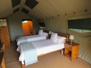 Woodbury Tented Camp – Amakhala Game Reserve