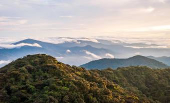 Snooze Cameron Highlands