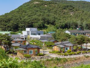 Gochang Hwangto Bokbunja Pension