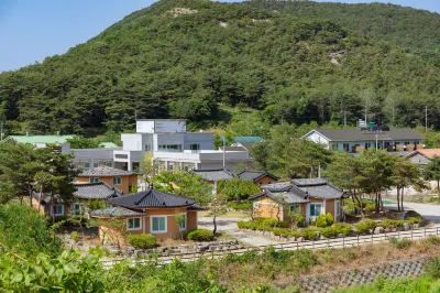 Gochang Hwangto Bokbunja Pension
