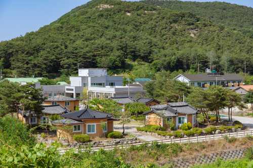 고창 황토복분자펜션