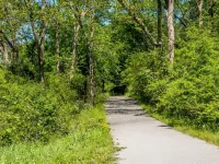 Holly House of Hamilton Hotels in Harris County