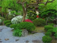 Musashibou Hotel di 