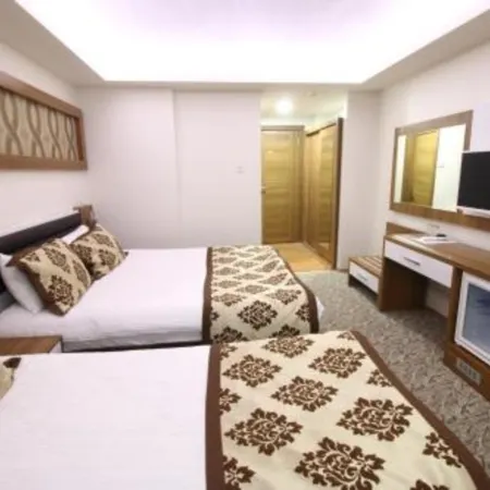 Afyon Grand Arı Hotel فنادق في أفيون قره حصار