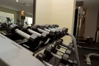 Hampton Inn by Hilton Irapuato - Gym