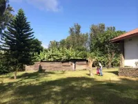 Kaswende Farm