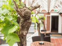 Hotel & Restaurant Wefers Hotel a Emsdetten