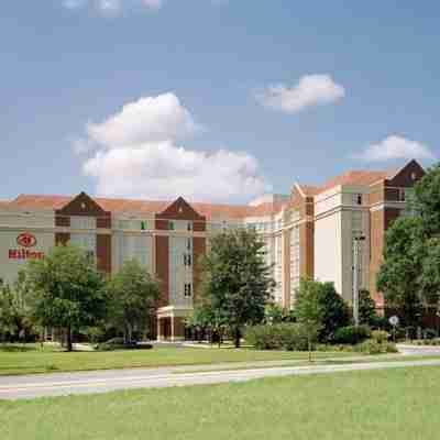 Hilton University of Florida Conference Center Gainesville Hotel Exterior