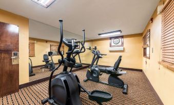 Quality Inn & Suites Clemmons I-40