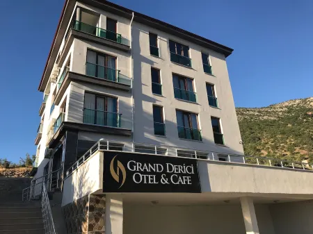 德里奇大酒店