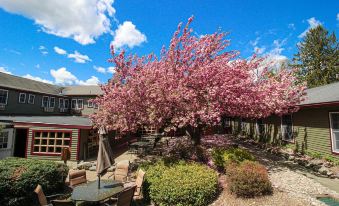 a beautiful garden with a large tree in full bloom , surrounded by various plants and flowers at Stroudsmoor Country Inn