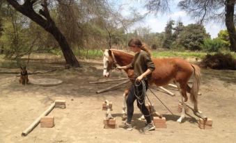 Rancho Santana Horseback Riding