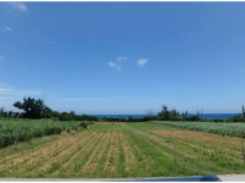 ブルーリゾート