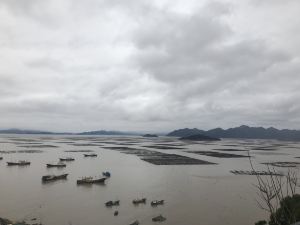 天海一舍民宿（崗尾大橋分店）