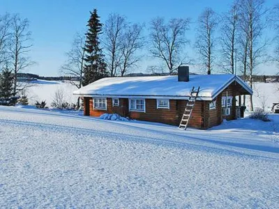 Villiruusu