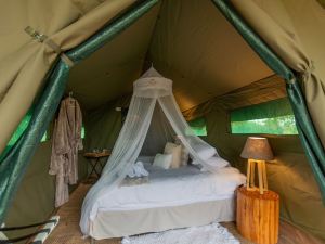 Kruger Untamed - Tshokwane River Camp