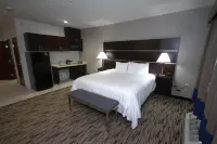Atrium Hotel and Suites DFW Airport