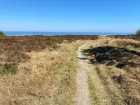 "Ilenia" - 150m from the Sea