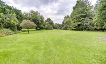 Stunning East Lansing Retreat w/ Fire Pit!
