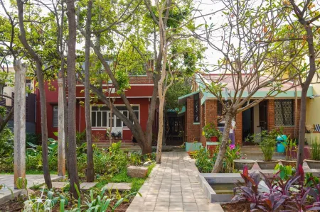 Rahees Bi Roambay -Backpacker Hostel