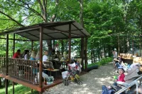 Berezka Hotel Hotels in Gorod Goryachiy Klyuch