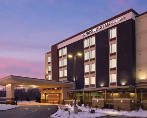 SpringHill Suites Allentown Bethlehem/Center Valley Hotels in Lehigh County