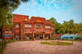 Tree of Life Bhadrajun House, Jodhpur