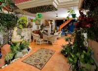 On the House Boutique Bed Breakfast with Terrace Garden Views Hotels in New Delhi