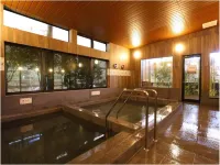 Hotel New Umeya Hotel a Jōsō