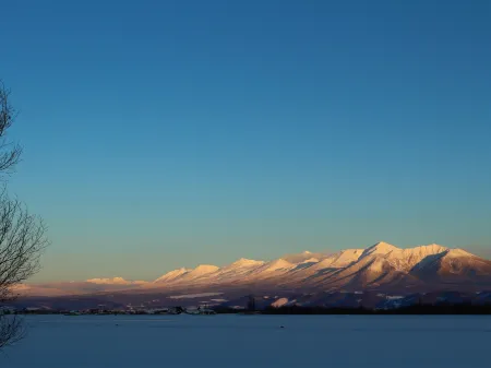 Furano Denen Cottage Nupuri Отели в г. уезд Сорати