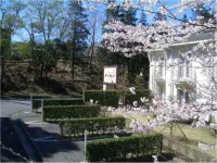 Rental Villa Art Road