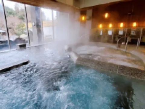 Igashira Onsen Chat Palace Hoteles en Mooka