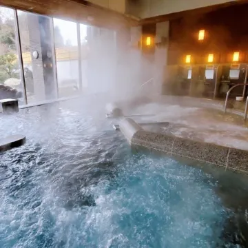 Igashira Onsen Chat Palace Отели в г. Моока