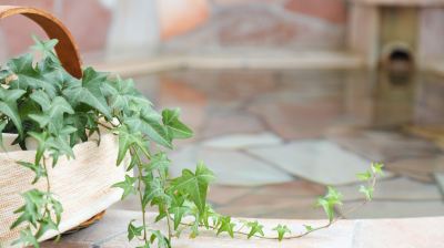 客室 ボンマリアージュ　花の森 クラリスの写真