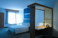 SpringHill Suites Dallas Lewisville Hotels in Lewisville