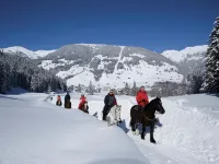 Apartment in Zillertal Near Ski Slopes