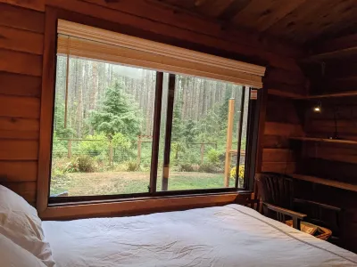 Rattlesnake Lake Area Cedar Cabin.  Direct Access to Trails. Pet Friendly.