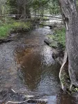 Buckwild Cabin; Au Sable river/Kirtland Warbler/BullGap/Wolf Creek/UTV/Kayaking