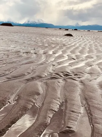 Alpine Meadows Cabin