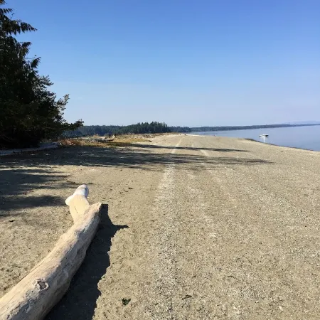 Cozy Forest Escape w/ Hot Tub • Private Trails & Gnome Walk • Near Beach