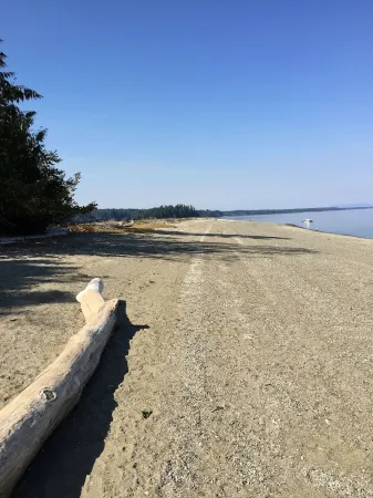 Your Forest Hideaway on Beautiful Harstine Island