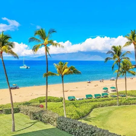 World Famous Beach with Black Rock Views, Great Snorkeling, Dining & Shops # 412