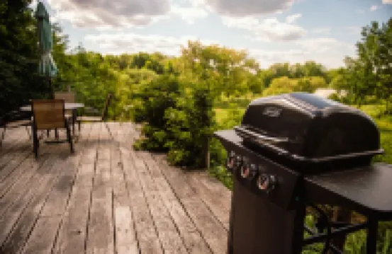 Secluded, Clean Yurt, Retreat on a Forest Farm