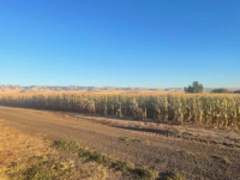 Lasater Ranch Bunkhouse- close to town & wineries!