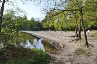 Reetgedecktes Ferienhaus am Strandweg