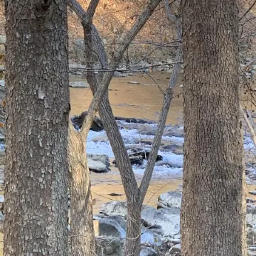 Pappys place at Smoke Hole