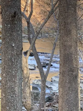 Pappys place at Smoke Hole