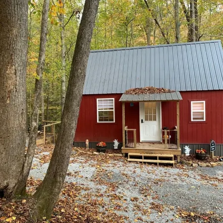 Raccoon Lodge at Coops Creek Cabins