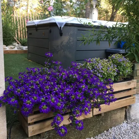A corner of paradise in the heart of the Alpilles with SPA